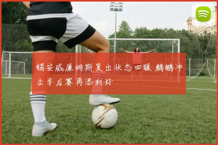 锡安威廉姆斯复出状态回暖 鹈鹕冲击季后赛再添利好