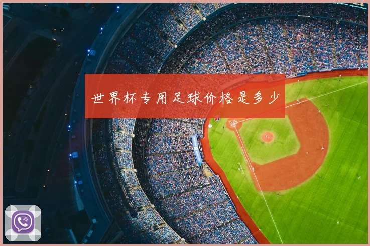 世界杯专用足球价格是多少