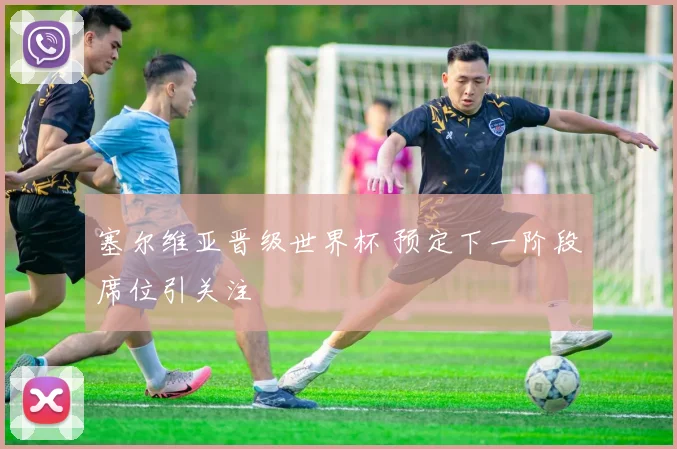 塞尔维亚晋级世界杯 预定下一阶段席位引关注