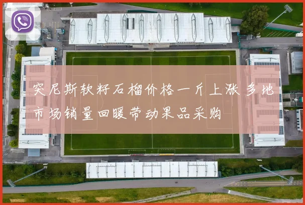 突尼斯软籽石榴价格一斤上涨 多地市场销量回暖带动果品采购