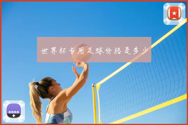 世界杯专用足球价格是多少