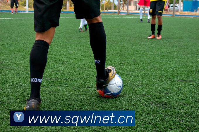 数据防护可视化